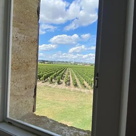 Au Coeur Du Vignoble De Saint-emilion شقة
