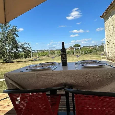 Au Coeur Du Vignoble De Saint-emilion * Saint-Sulpice-de-Faleyrens