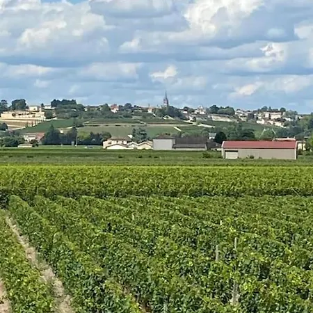 Au Coeur Du Vignoble De Saint-emilion *